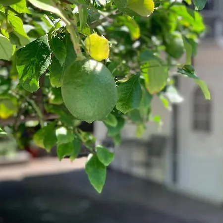 Yalos Feriehus Stavros (Thessaloniki)