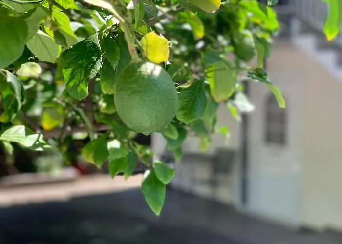 Yalos Feriehus Stavros (Thessaloniki)